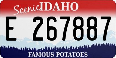 ID license plate E267887