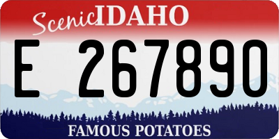 ID license plate E267890