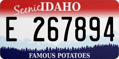 ID license plate E267894