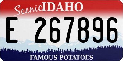 ID license plate E267896