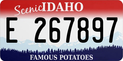 ID license plate E267897