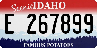 ID license plate E267899
