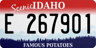 ID license plate E267901