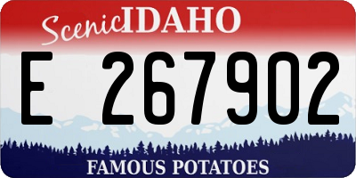 ID license plate E267902