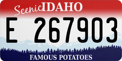 ID license plate E267903