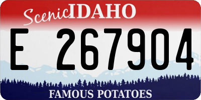 ID license plate E267904