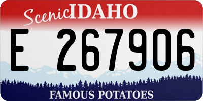 ID license plate E267906