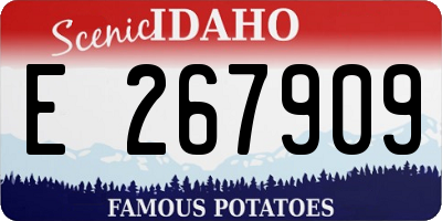ID license plate E267909