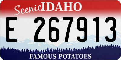 ID license plate E267913