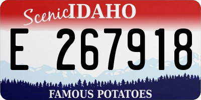 ID license plate E267918