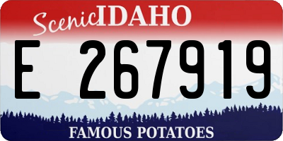 ID license plate E267919