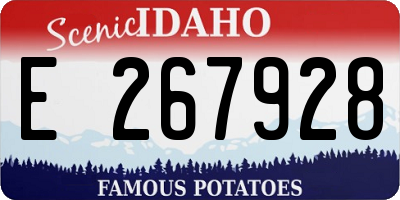 ID license plate E267928