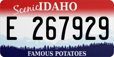 ID license plate E267929