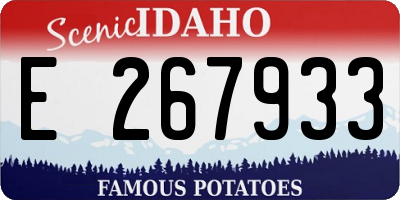 ID license plate E267933