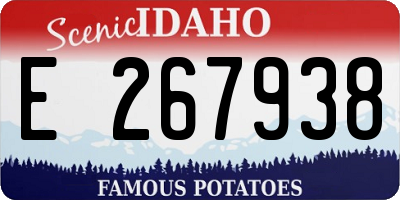 ID license plate E267938