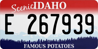 ID license plate E267939