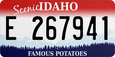 ID license plate E267941