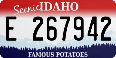 ID license plate E267942