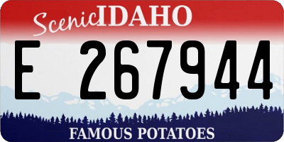 ID license plate E267944
