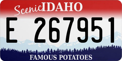 ID license plate E267951