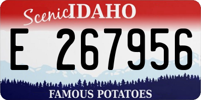 ID license plate E267956