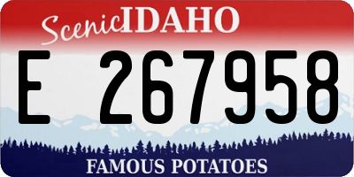 ID license plate E267958