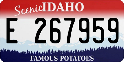 ID license plate E267959