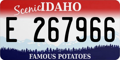 ID license plate E267966