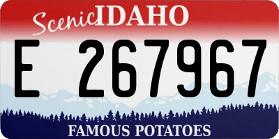 ID license plate E267967