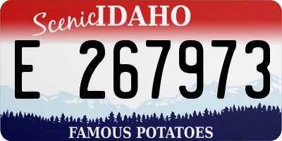ID license plate E267973