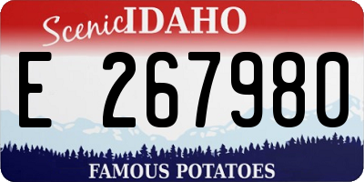 ID license plate E267980