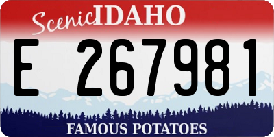 ID license plate E267981