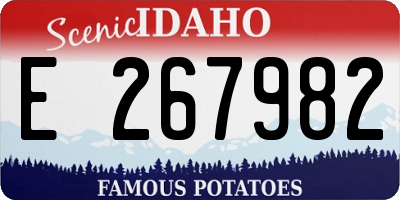 ID license plate E267982