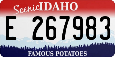 ID license plate E267983