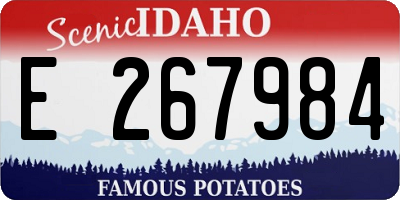 ID license plate E267984