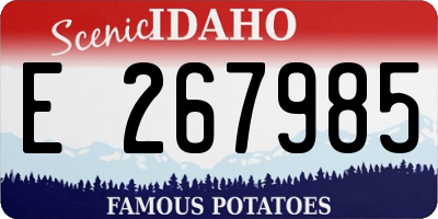 ID license plate E267985