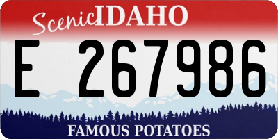 ID license plate E267986