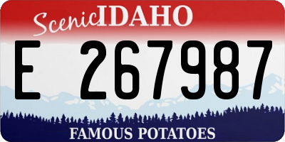 ID license plate E267987