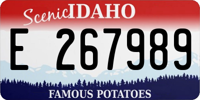 ID license plate E267989