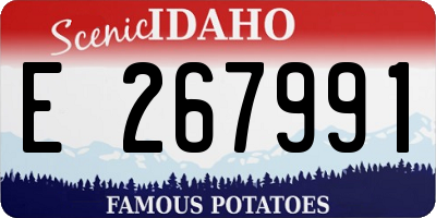 ID license plate E267991