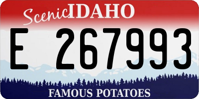 ID license plate E267993