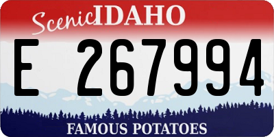 ID license plate E267994