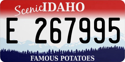 ID license plate E267995