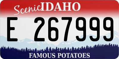 ID license plate E267999
