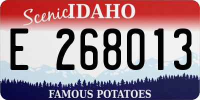 ID license plate E268013