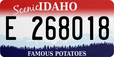 ID license plate E268018