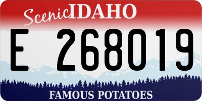 ID license plate E268019