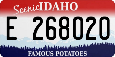 ID license plate E268020