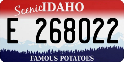 ID license plate E268022