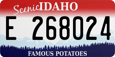 ID license plate E268024